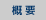 概 要